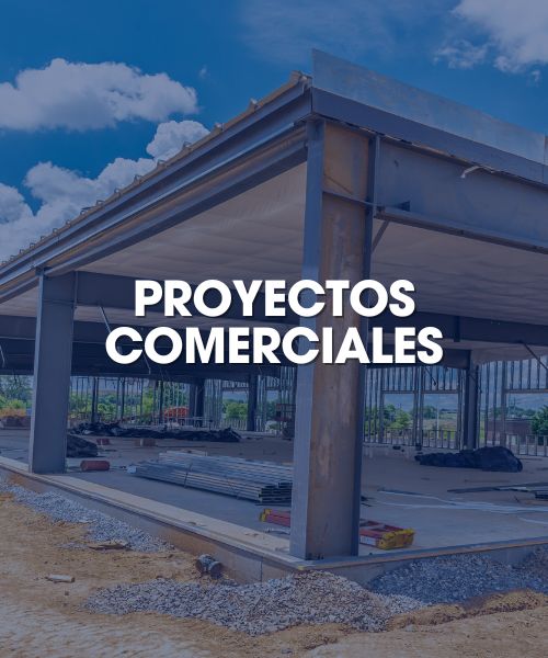 PROYECTOS COMERCIALES